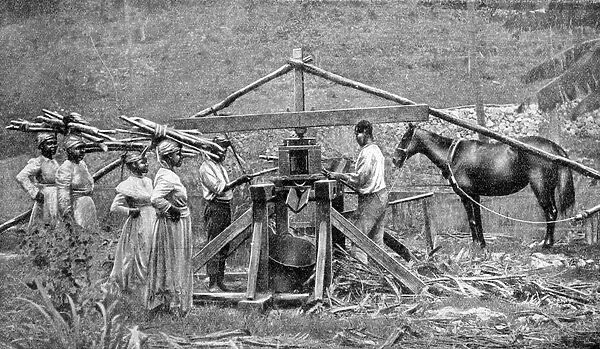 A wooden, horse-powered suger cane crushing mill, West Indies, 1922