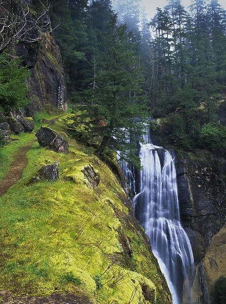 Golden Falls Plunges Over The Cliffs; Allegany, Oregon, United States Of America