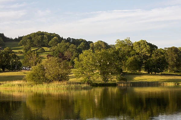 Tranquil Water Of A Lake Reflected The Green Trees And Grass Fields; Lake District, Cumbria, England