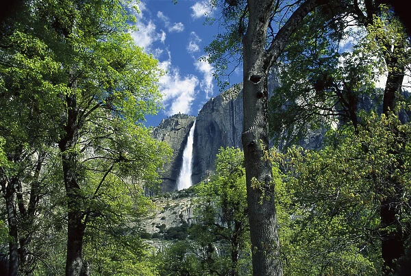 Bridal Veil Falls tumble 620 feet to the valley floor, Yosemite National Park, California