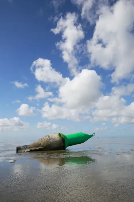 Framed Print : Buoy lying on the mudflats of the Wadden Sea, Texel, Noord-Holland, The Netherlands Framed Print : Buoy lying on the mudflats of the Wadden Sea, Texel, Noord-Holland, The Netherlands