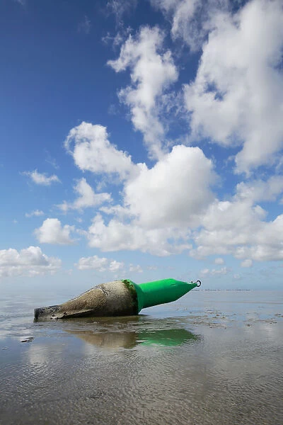 Buoy lying on the mudflats of the Wadden Sea, Texel, Noord-Holland, The Netherlands