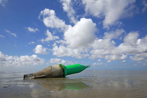 Buoy lying on the mudflats of the Wadden Sea, Texel, Noord-Holland, The Netherlands