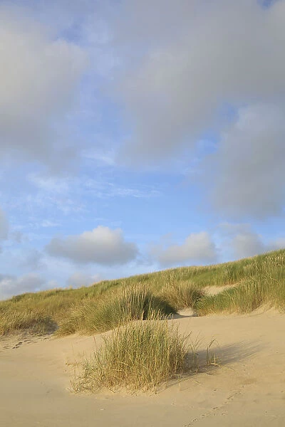 Dunes at the Dutch coast under a sky full with clouds, The Netherlands, Noord-Holland