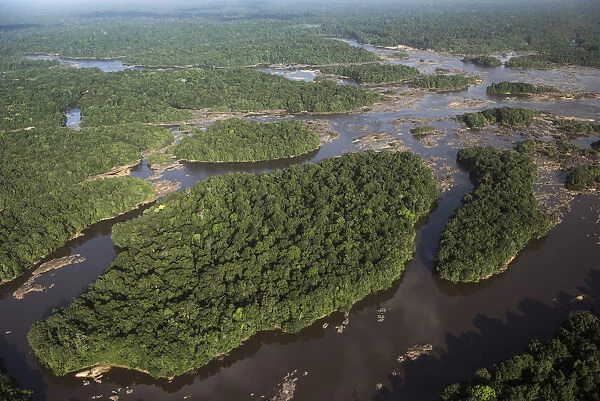 Essequibo River in rainforest, Guyana