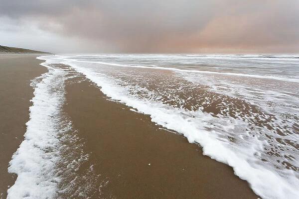 Foam on North Sea beach at stormy winter day, North Sea beach, the Netherlands