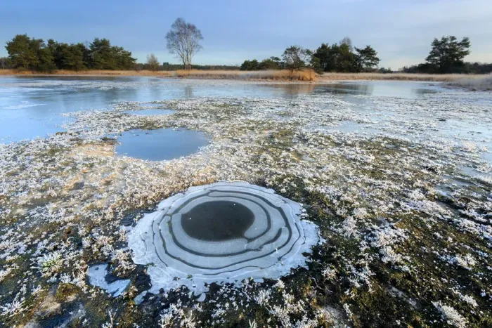 Framed Print : Frozen fen in a winter landscape, Buurserzand, Overijssel, The Netherlands Framed Print : Frozen fen in a winter landscape, Buurserzand, Overijssel, The Netherlands