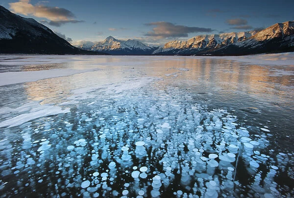 Frozen gas bubbles beneath surface of frozen lake, Abraham Lake, Canadian Rockies