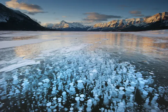 Framed Print : Frozen gas bubbles beneath surface of frozen lake, Abraham Lake, Canadian Rockies Framed Print : Frozen gas bubbles beneath surface of frozen lake, Abraham Lake, Canadian Rockies