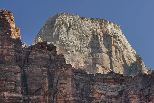 Great White Throne, a white sandstone mountain, Zion National Park, Utah