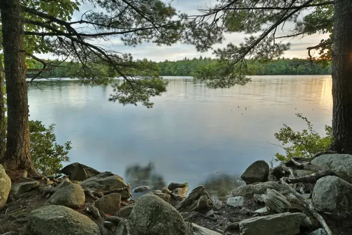 Framed Print : Lake at sunset, Kejimkujik National Park, Nova Scotia, Canada Framed Print : Lake at sunset, Kejimkujik National Park, Nova Scotia, Canada