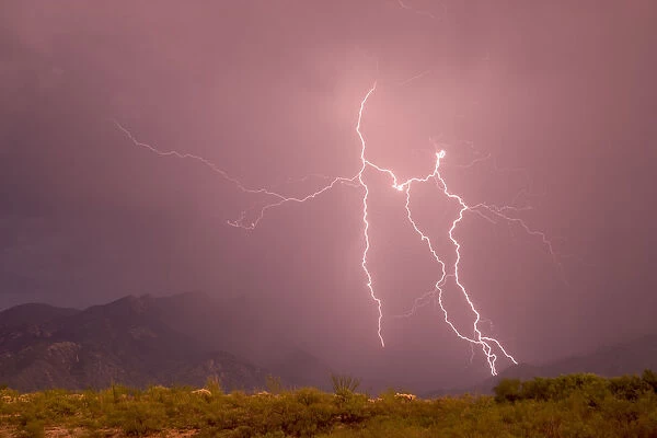 Lightning strike, Santa Rita Mountains, Arizona