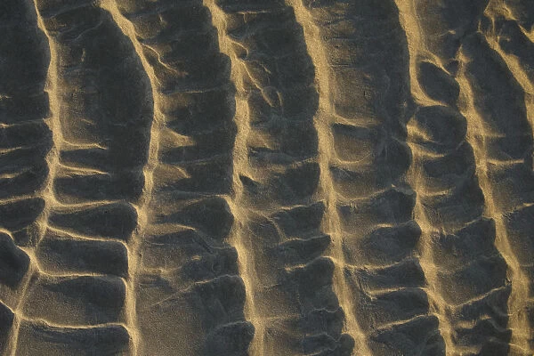 Lines in the sand at first light of the day, The Netherlands, Noord-Holland