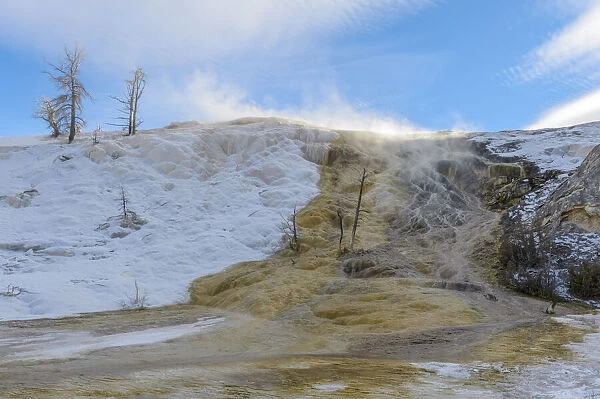 Lower terras in winter, Yellowstone National Park, Wyoming, United States