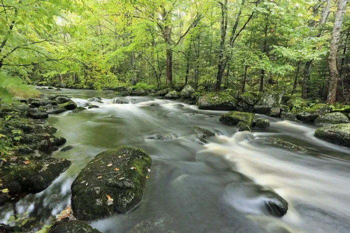 Framed Print : Mickey Hill Creek flowing through deciduous forest, Nova Scotia, Canada Framed Print : Mickey Hill Creek flowing through deciduous forest, Nova Scotia, Canada