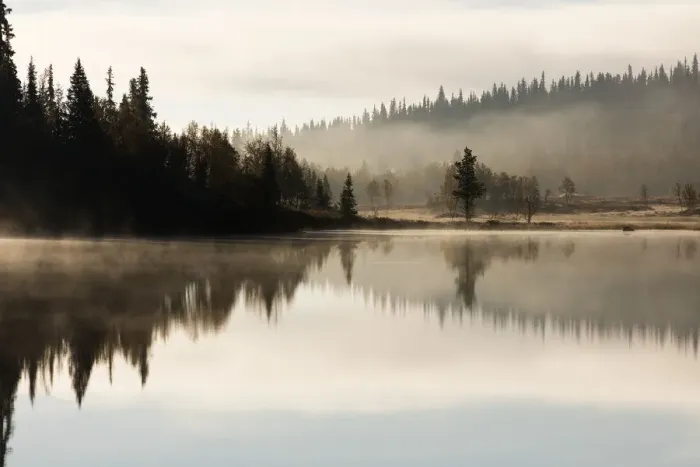 Framed Print : Mist at sunrise over a lake in Oppsjomira nature reserve, Oppsjomira, Gausdal, Norway Framed Print : Mist at sunrise over a lake in Oppsjomira nature reserve, Oppsjomira, Gausdal, Norway