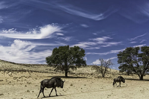 Northern Cape, South-Africa
