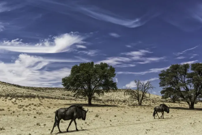 Framed Print : Northern Cape, South-Africa Framed Print : Northern Cape, South-Africa