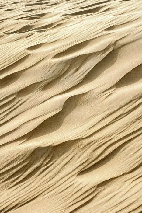Framed Print : Patterns in the sand of the dunes, Kennemerduinen, Noord-Holland, The Netherlands Framed Print : Patterns in the sand of the dunes, Kennemerduinen, Noord-Holland, The Netherlands