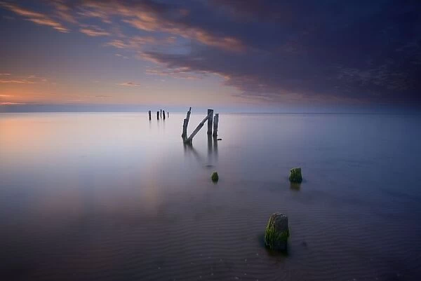 Remnants of a plank way, belonging to a fishing port, at the Livonia Coast close to Mazirbe