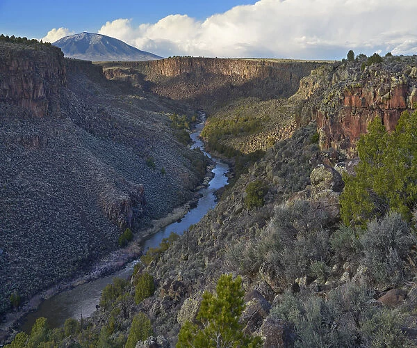 Rio Grande Wild and Scenic River, view from Sheep Crossing to Ute Mountain, Rio Grande