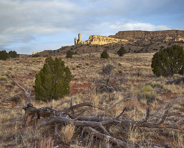 Rock formation in desert at dawn, Chimney Rock, Ghost Ranch, New Mexico