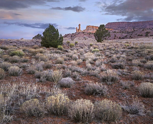 Rock formation in desert at dawn, Chimney Rock, Ghost Ranch, New Mexico