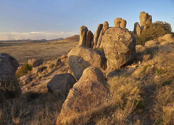 Rock formations, City of Rocks State Park, New Mexico