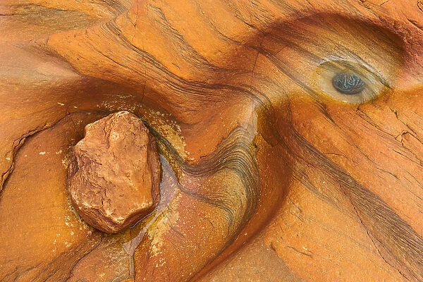 Rock pool abstract, Northumberland, England