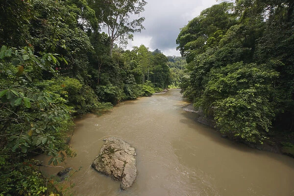 Sediment-laden river, Danum Valley, Malaysia