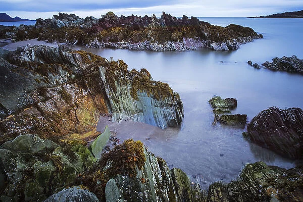 Sedimentary rocks along coast, Batsfjord, Persfjord, Varanger, Finnmark, Norway