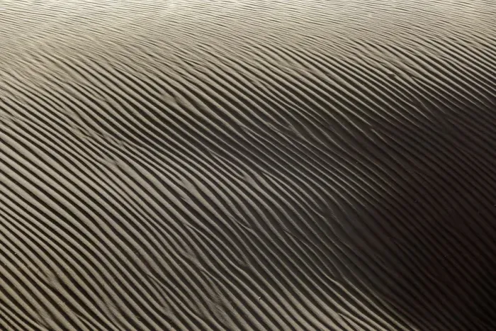 Framed Print : Shapes in the sand, Namibia Framed Print : Shapes in the sand, Namibia