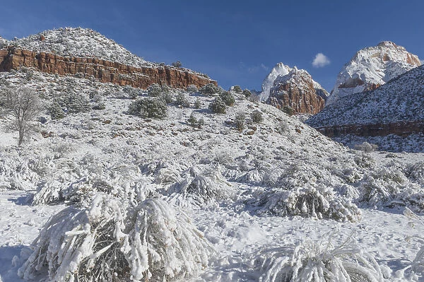 Valley in winter, Zion National Park, Utah