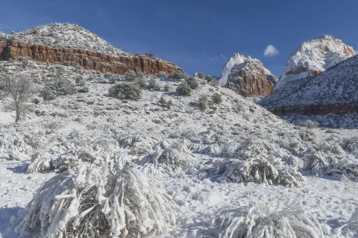 Framed Print : Valley in winter, Zion National Park, Utah Framed Print : Valley in winter, Zion National Park, Utah