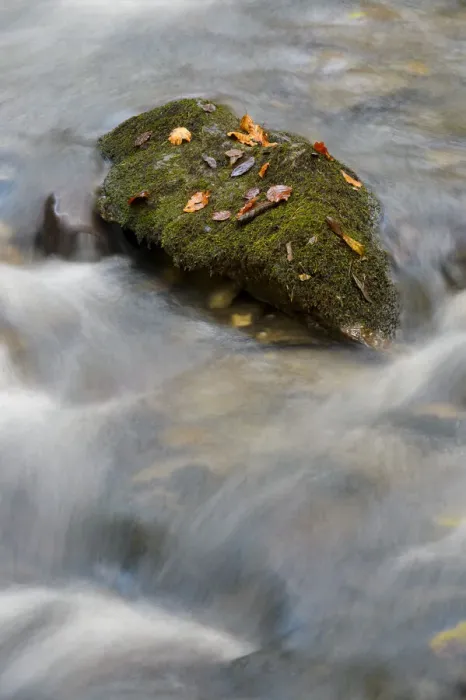 Framed Print : Waterfall with autumn leaves, Haute-Savoie, France Framed Print : Waterfall with autumn leaves, Haute-Savoie, France