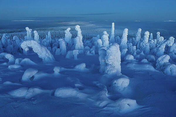 Wide angle view over a snow-covered forest landscape near the Russian border at blue hour, a short period of twilight, North Ostrobothnia, Finland - This photo won 10th place in the Landscape category of the GDT Nature Photographer of the Year 2023
