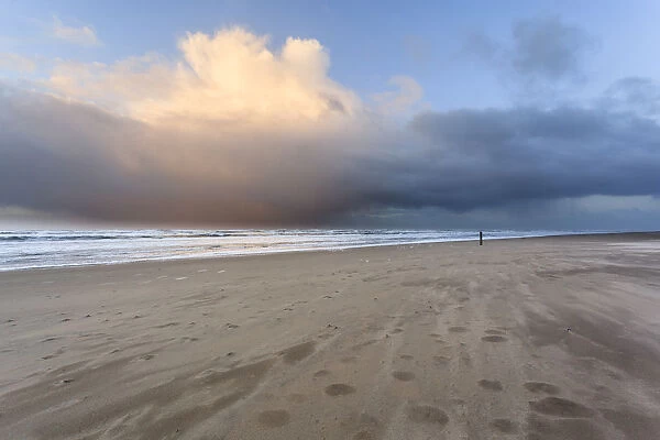 Winter storm at the beach with drifting sand, North Sea, Noord-Holland, the Netherlands