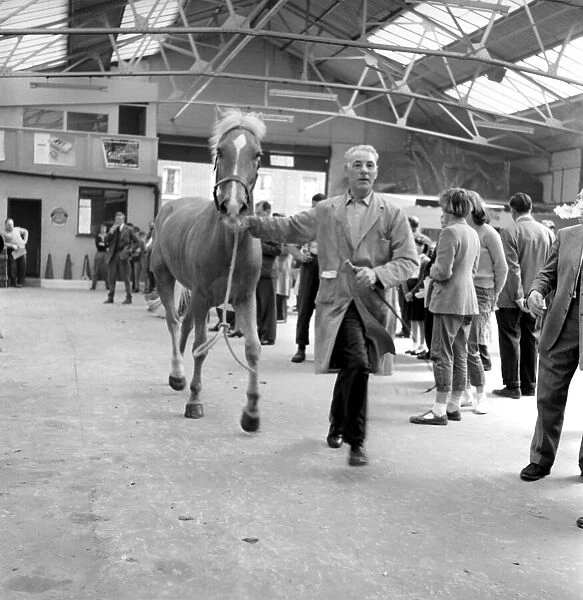 General scene at the Brixton horse auctions. 1961 C48-013