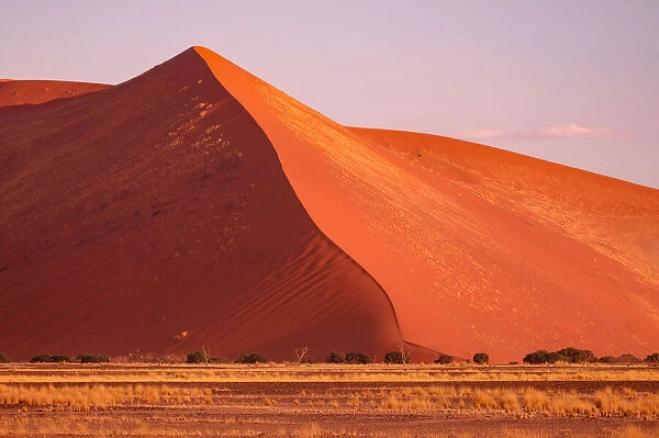 Namibia. Sand Dunes, Sossusvlei area, Namib Naukluft National Park, Hardap Region, Namibia