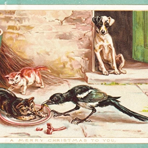 Dog, cats and bird on a Christmas card