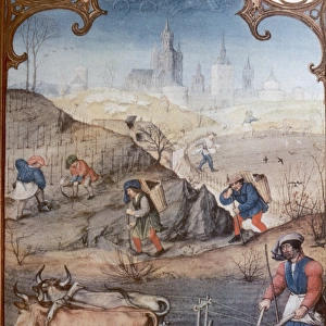Farmers plowing and sowing. Late 15th century. Italy