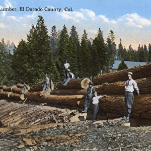 Lumber workers in El Dorado County, California, USA
