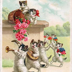 Musical cats with flowers on a postcard
