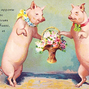 Two pigs on a French April Fool postcard