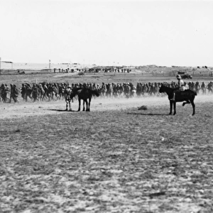 Prisoners captured by Australian troops near Gaza, WW1