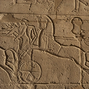 Ramesseum. Army during a battle. Relief. Egypt