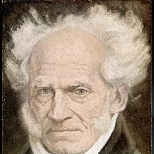 Schopenhauer / Postcard