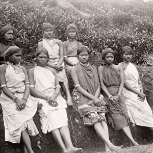 Tea plantation workers, Ceylon, Sri Lanka