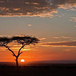 Sunrise over the Masai Mara - Kenya