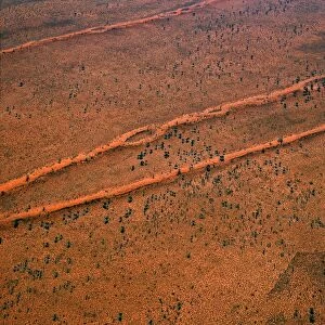 Tanami Desert vegetation: spinifex, desert oaks & acacias Northern Territory, Australia JPF45095